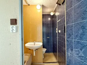 Prodej bytu 1+1, Skořenice, 35 m2
