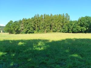 Prodej lesa, Cehnice - Dunovice, 12580 m2