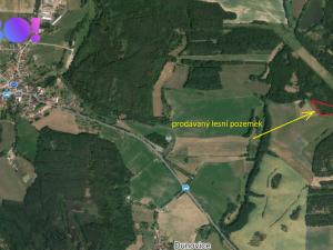 Prodej lesa, Cehnice - Dunovice, 12580 m2