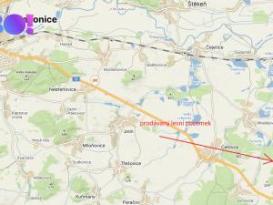 Prodej lesa, Cehnice - Dunovice, 12580 m2