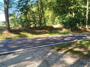 Prodej lesa, Cehnice - Dunovice, 12580 m2