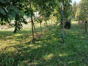 Prodej rodinného domu, Újezd u Brna, Lidická, 95 m2