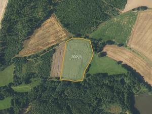 Prodej podílu pole, Borovná, 60983 m2