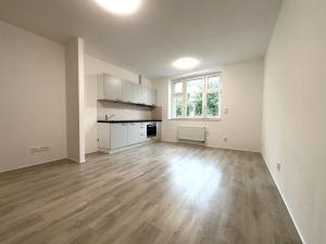 Pronájem bytu 1+kk, Plzeň - Lobzy, Živnostenská, 29 m2
