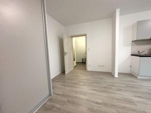 Pronájem bytu 1+kk, Plzeň - Lobzy, Živnostenská, 29 m2