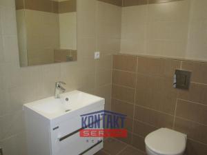 Pronájem bytu 2+kk, České Budějovice - České Budějovice 6, 55 m2