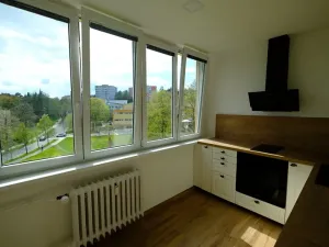Pronájem bytu 1+1, Uherský Brod, 30 m2