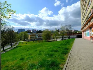 Pronájem bytu 1+1, Uherský Brod, 30 m2