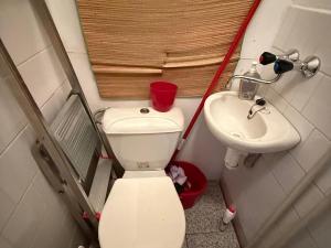 Prodej bytu 1+kk, Most, Františka Halase, 22 m2