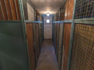 Prodej bytu 3+1, Sušice - Sušice II, Sirkařská, 65 m2