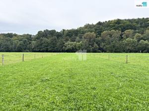 Prodej louky, Turnov - Dolánky u Turnova, 2128 m2