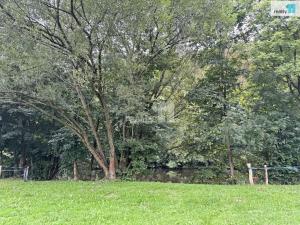 Prodej louky, Turnov - Dolánky u Turnova, 2128 m2
