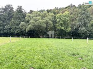 Prodej louky, Turnov - Dolánky u Turnova, 2128 m2