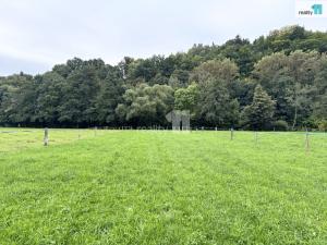 Prodej louky, Turnov - Dolánky u Turnova, 2128 m2