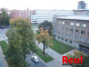 Pronájem bytu 2+kk, Brno - Veveří, Zahradníkova, 50 m2