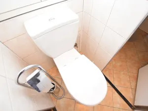 Prodej bytu 3+1, Strakonice, 65 m2
