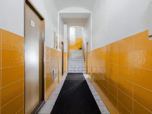 Prodej obchodního prostoru, Praha - Nusle, Jaromírova, 380 m2