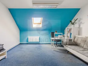 Prodej obchodního prostoru, Praha - Nusle, Jaromírova, 380 m2