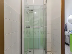 Prodej obchodního prostoru, Praha - Nusle, Jaromírova, 380 m2