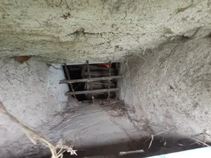 Dražba - jiné, Štěpánov, 110 m2
