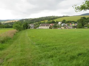Dražba lesa, Hrabišín, 23811 m2