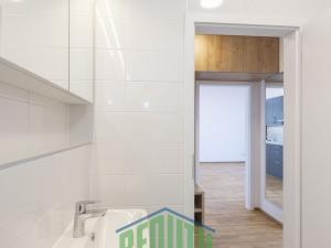 Pronájem bytu 2+kk, Velké Přílepy, Pražská, 49 m2