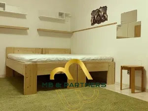 Pronájem bytu 3+kk, Praha - Vinohrady, Bělehradská, 110 m2