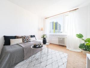 Prodej bytu 2+kk, Mladá Boleslav - Mladá Boleslav II, Jana Palacha, 43 m2