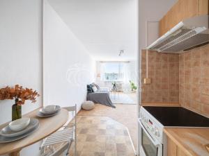 Prodej bytu 2+kk, Mladá Boleslav - Mladá Boleslav II, Jana Palacha, 43 m2