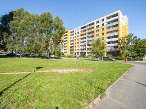 Prodej bytu 2+kk, Mladá Boleslav - Mladá Boleslav II, Jana Palacha, 43 m2