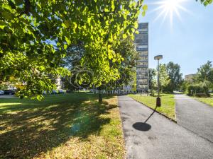 Prodej bytu 2+kk, Mladá Boleslav - Mladá Boleslav II, Jana Palacha, 43 m2