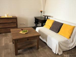 Pronájem bytu 1+1, Znojmo, Velká Mikulášská, 31 m2