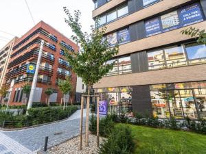 Prodej bytu 1+kk, Praha - Žižkov, U Viktorie, 49 m2