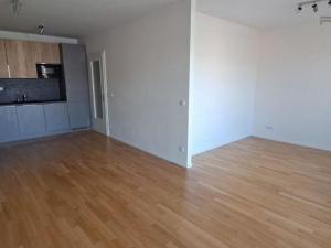 Prodej bytu 1+kk, Praha - Žižkov, U Viktorie, 49 m2