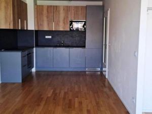 Prodej bytu 1+kk, Praha - Žižkov, U Viktorie, 49 m2