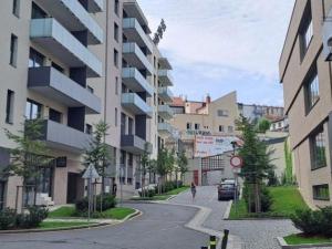 Prodej bytu 1+kk, Praha - Žižkov, U Viktorie, 49 m2