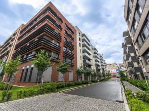 Prodej bytu 1+kk, Praha - Žižkov, U Viktorie, 49 m2