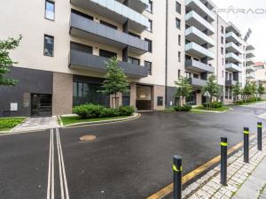 Prodej bytu 1+kk, Praha - Žižkov, U Viktorie, 49 m2