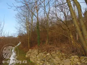 Dražba zahrady, Dolní Újezd, 906 m2