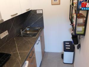 Pronájem bytu 1+kk, Janov nad Nisou, 25 m2
