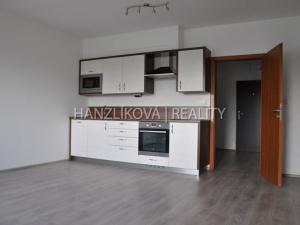 Pronájem bytu 2+kk, České Budějovice - České Budějovice 2, 49 m2