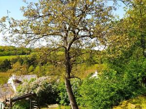 Prodej rodinného domu, Vyškov - Opatovice, 135 m2