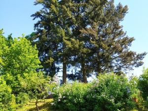 Prodej rodinného domu, Vyškov - Opatovice, 135 m2