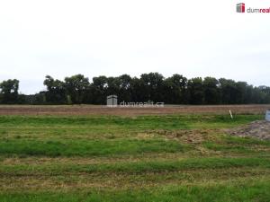 Prodej pole, Benátky nad Jizerou, Pražská, 6490 m2