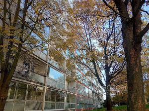 Pronájem bytu 1+kk, Praha - Krč, Milevská, 32 m2