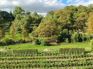 Pronájem bytu 2+kk, Praha - Žižkov, Tachovské náměstí, 44 m2