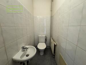 Pronájem bytu 2+1, Sokolov, Křížová, 82 m2