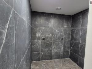 Prodej obchodního prostoru, Plzeň - Bolevec, Plaská, 245 m2