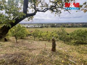 Prodej chaty, Litoměřice, 33 m2