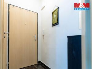 Prodej bytu 1+kk, Brno, Leitnerova, 21 m2